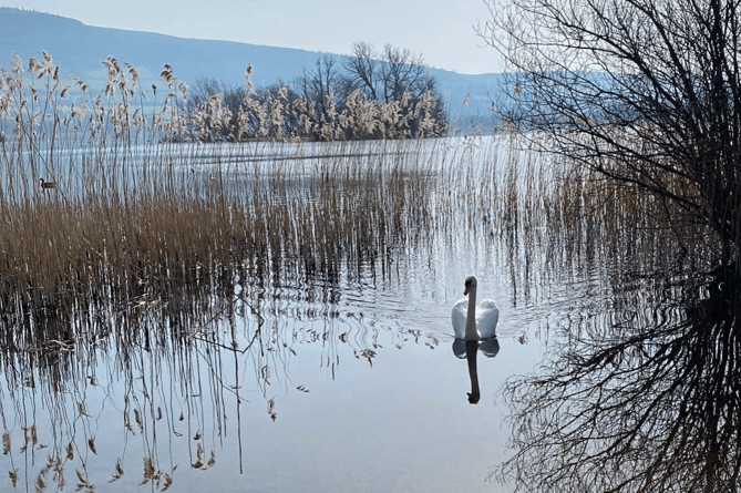 Llangorse lake