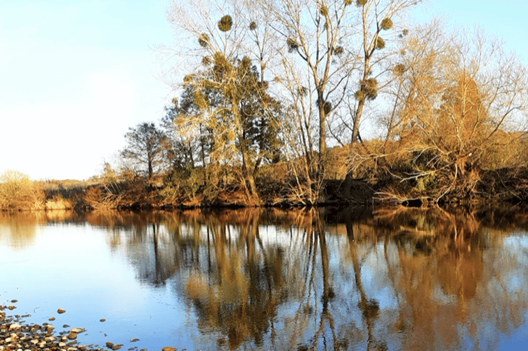 Wye at Glasbury