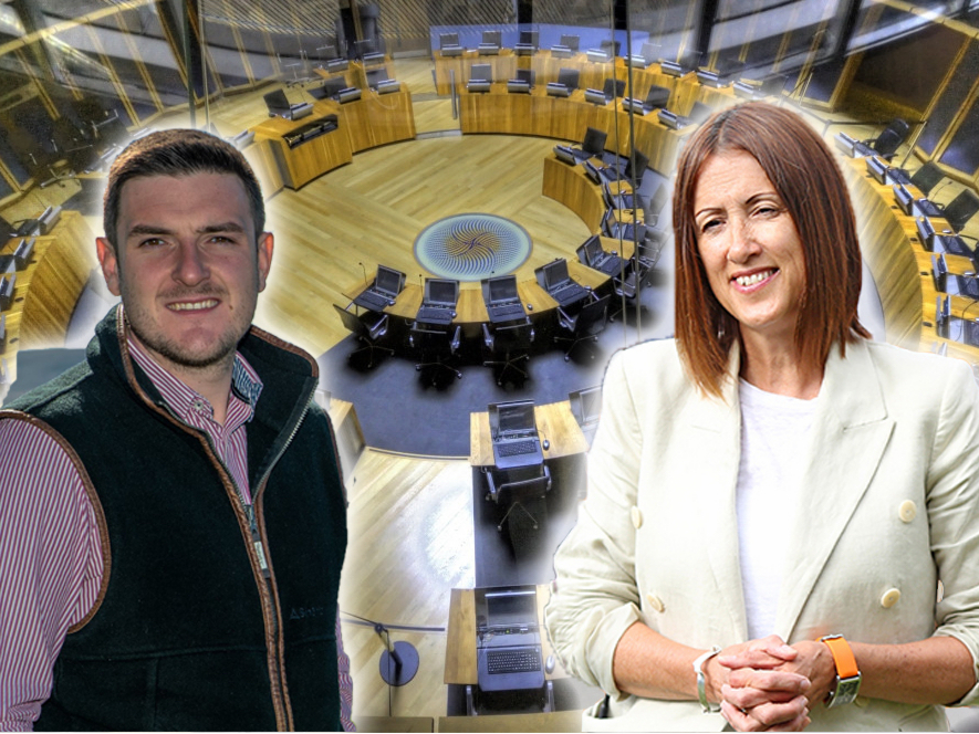 Powys SMs criticise plan to reform the Senedd 