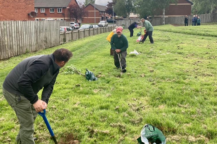The group helping to plant the trees in Llandrindod