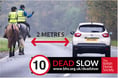 Data show Powys had the most road incidents involving horses last year