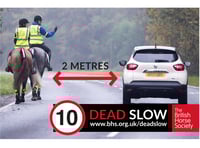 Data show Powys had the most road incidents involving horses last year