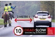 Data show Powys had the most road incidents involving horses last year