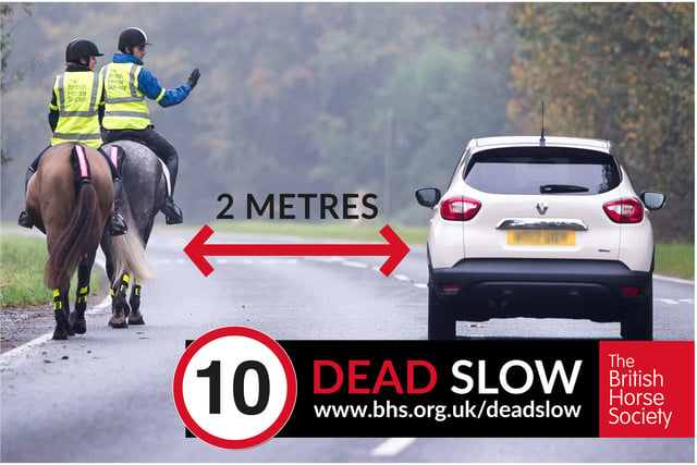 Data show Powys had the most road incidents involving horses last year