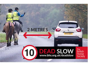 Data show Powys had the most road incidents involving horses last year
