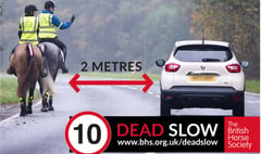 Data show Powys had the most road incidents involving horses last year