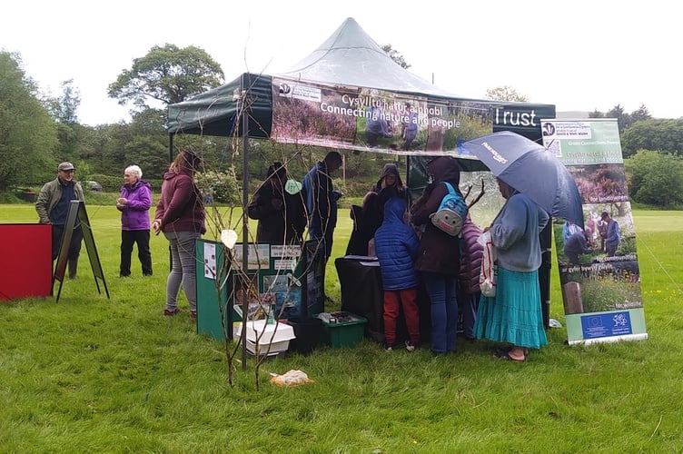 Wildlife Bioblitz
