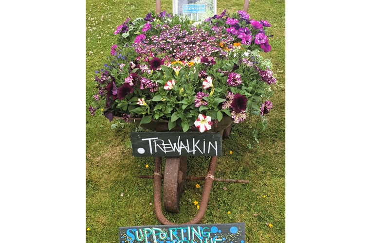 Trewalkin community entry – on the Ukrainian theme