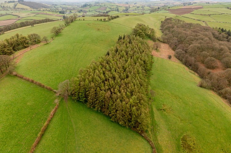 The 164 acres of land at Pentwyn