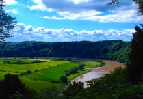 Wye salmon saved from heat death