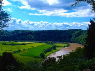 Wye salmon saved from heat death