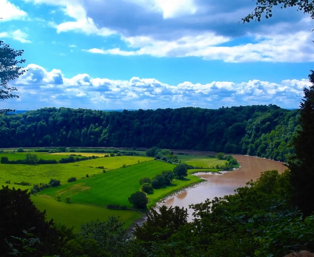 Wye salmon saved from heat death