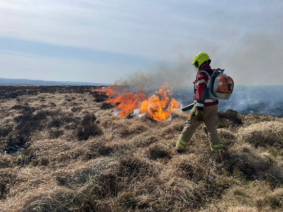 A firefighter extinguishing a grass fire