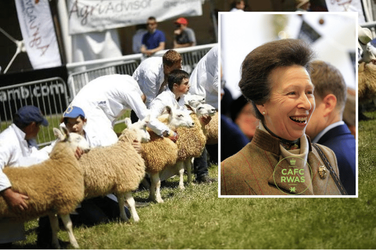 Princess Anne RWAS inset image