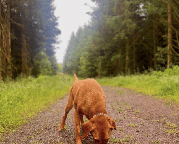 Another great photo sent in by Jacqueline Davis, this time with a four-legged friend!