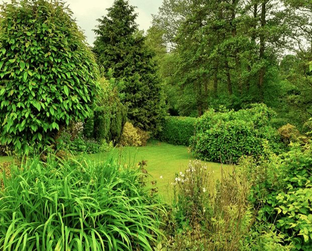 Green Garden