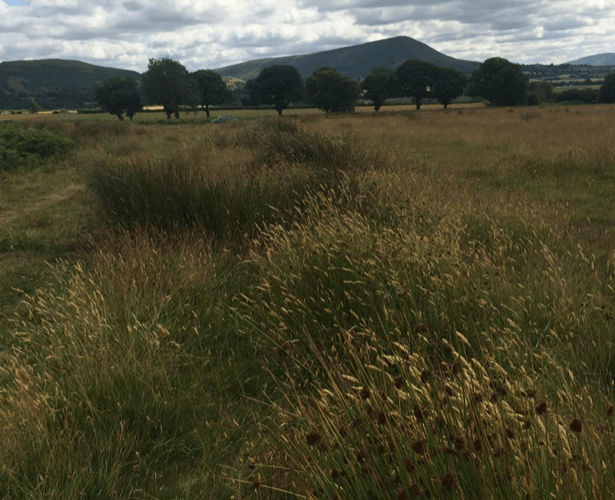 Black Mountains