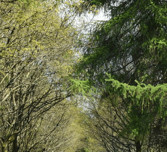 Road