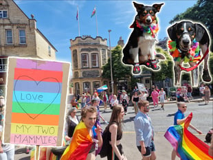 Hundreds flock to Llandrindod as it celebrates first ever Pride event