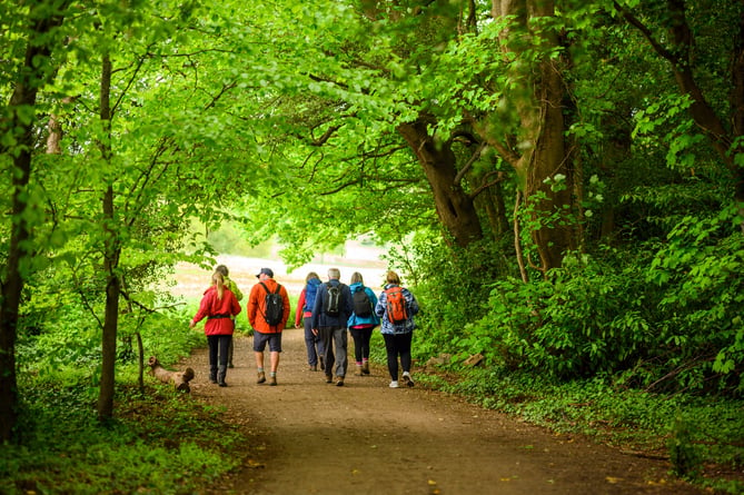 Generic picture of walkers on a path from Ramblers Cymru