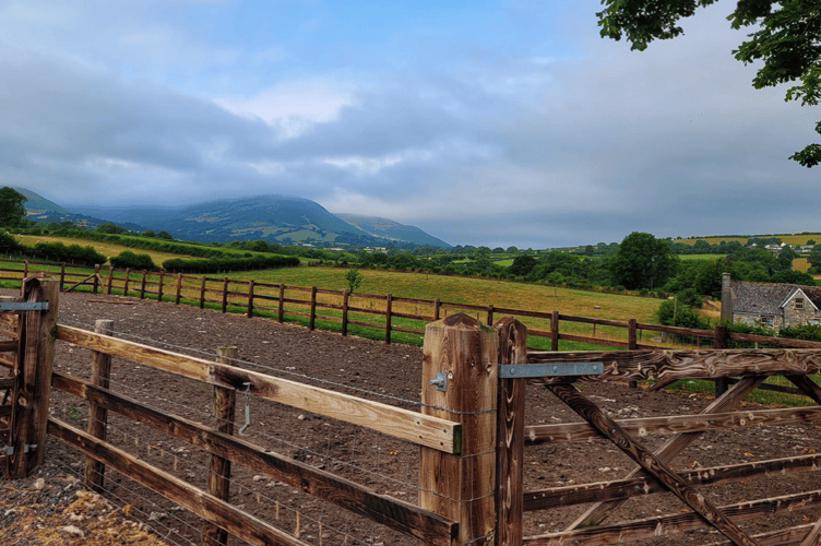 A lovely photo of an overcast day by Maria Davies.