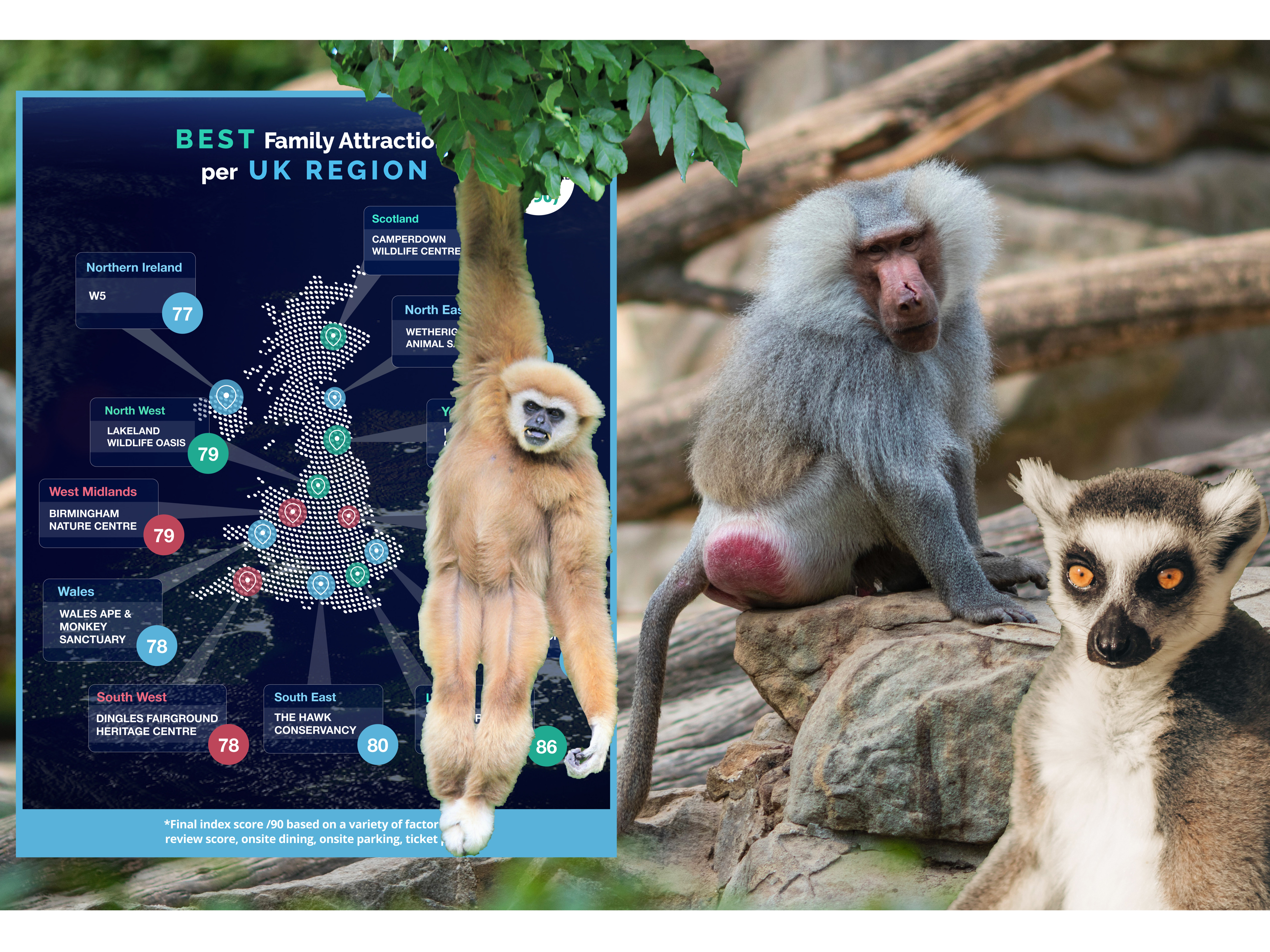 Powys animal sanctuary named Wales’ number one attraction for families