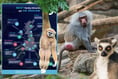 Powys animal sanctuary named Wales’ number one attraction for families