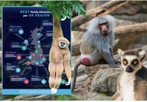 Powys animal sanctuary named Wales’ number one attraction for families