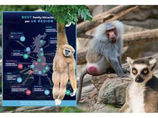 Powys animal sanctuary named Wales’ number one attraction for families