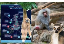 Powys animal sanctuary named Wales’ number one attraction for families