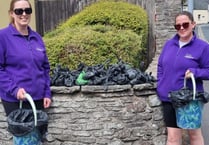 Duo pick up nearly one dog poo per minute on Brecon cleaning patrol 