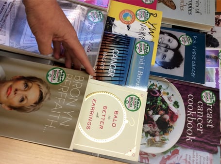 Macmillan books Powys