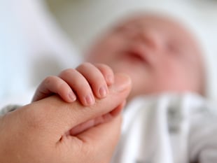 Fertility rate rises in Powys