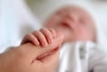 Fertility rate rises in Powys