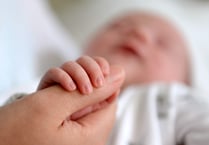 Fertility rate rises in Powys