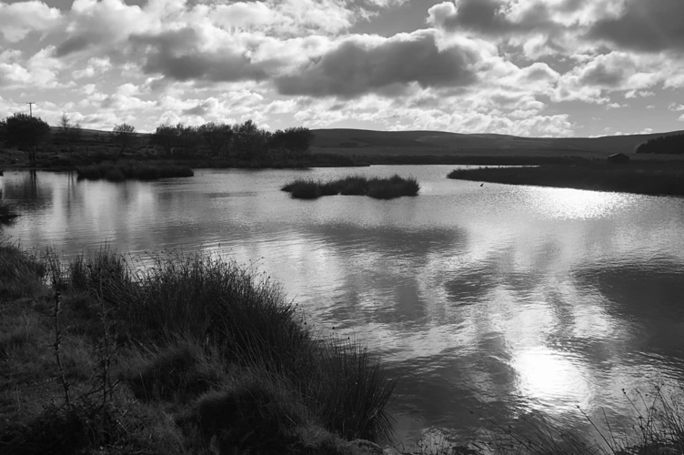 Black and White Lake