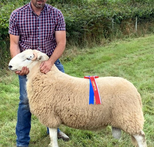 Erwood Show 2022
