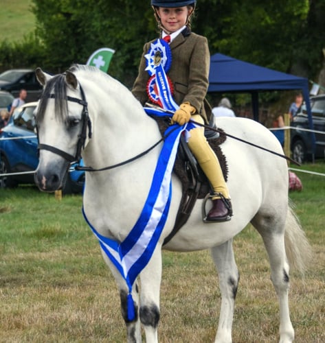 Erwood Show 2022