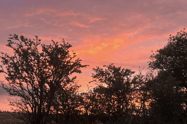 Sky PT