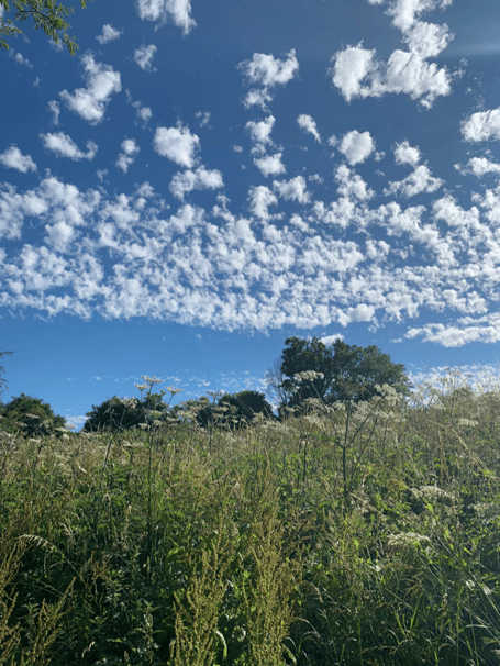 Sky PT