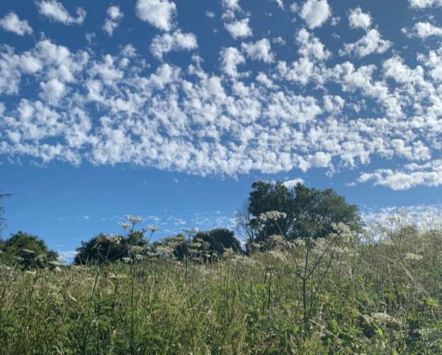 Sky PT