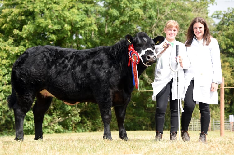 Sennybridge Show 2022