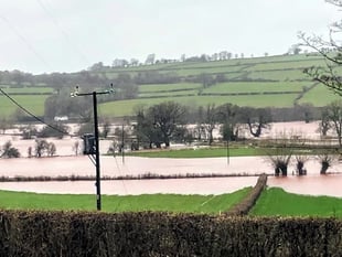 Letter: Welsh Government has bought the wrong farm in the wrong place