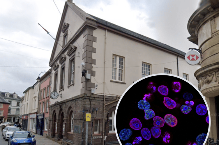 Brecon’s Guildhall