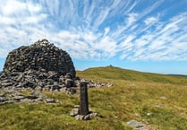 ‘Wales’ last wilderness’ petition reaches 10,000 signatures