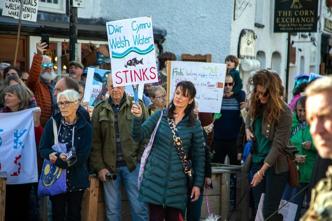 Crickhowell river protest