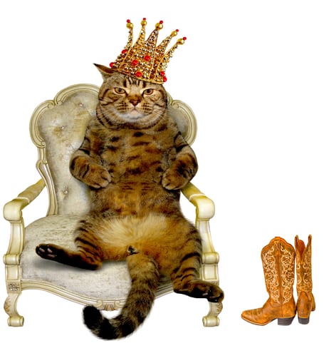 Puss in Boots