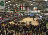 FUW gears up for festive cheer at Royal Welsh Winter Fair