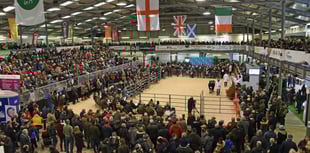School trips can visit the Royal Welsh Winter Fair for free