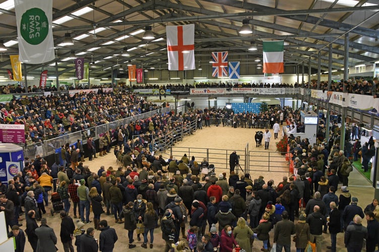 Royal Welsh Winter Fair